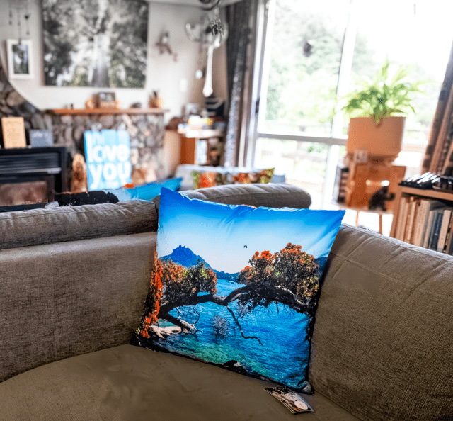 Urquharts Bay and Big Bee Cushion Cover - PCK Photography