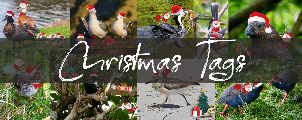 10 Christmas Tags 7 x 10cm - PCK Photography