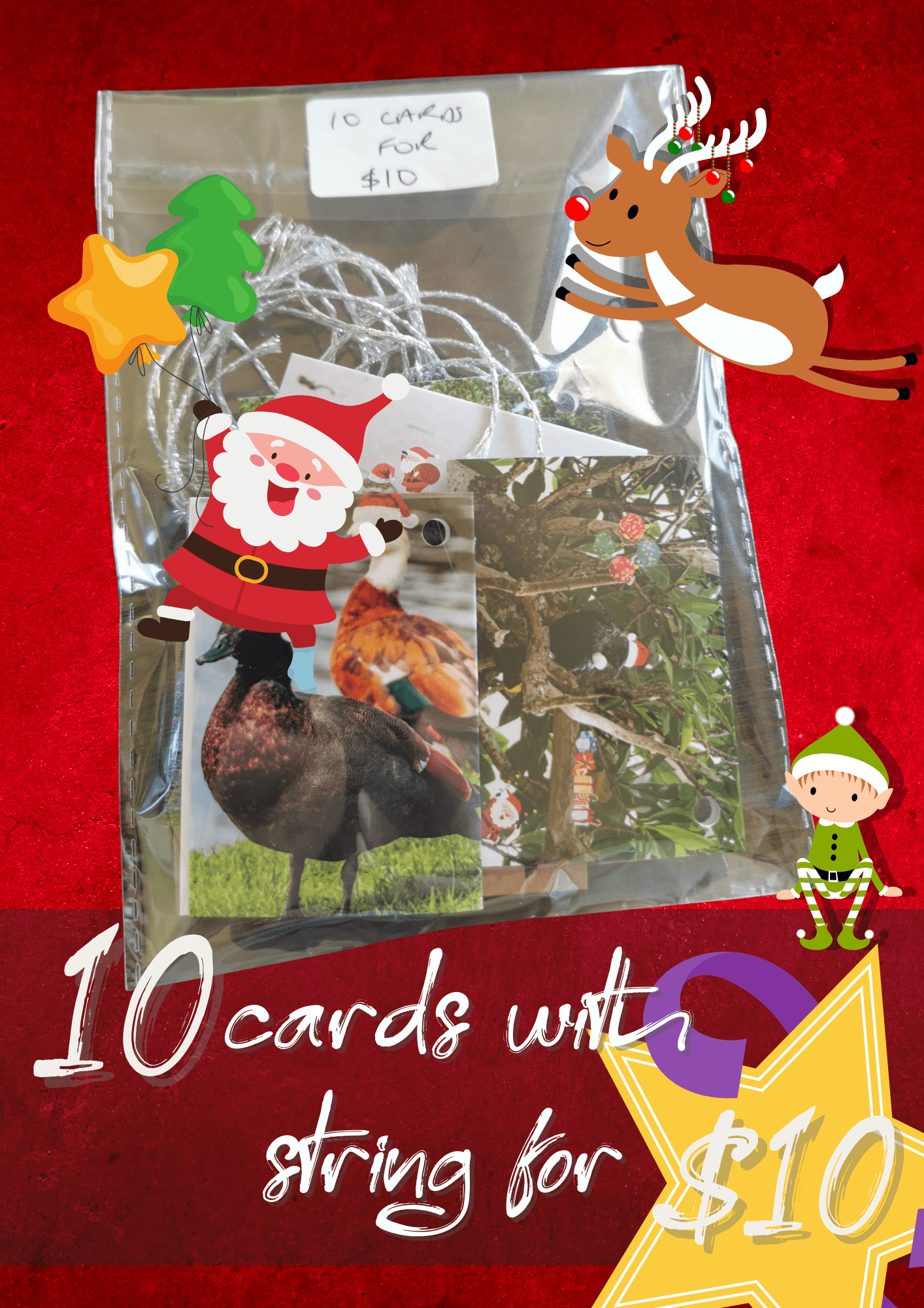 10 Christmas Tags 7 x 10cm - PCK Photography