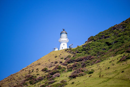 Cape Brett Lighthouse - PCK Photography
