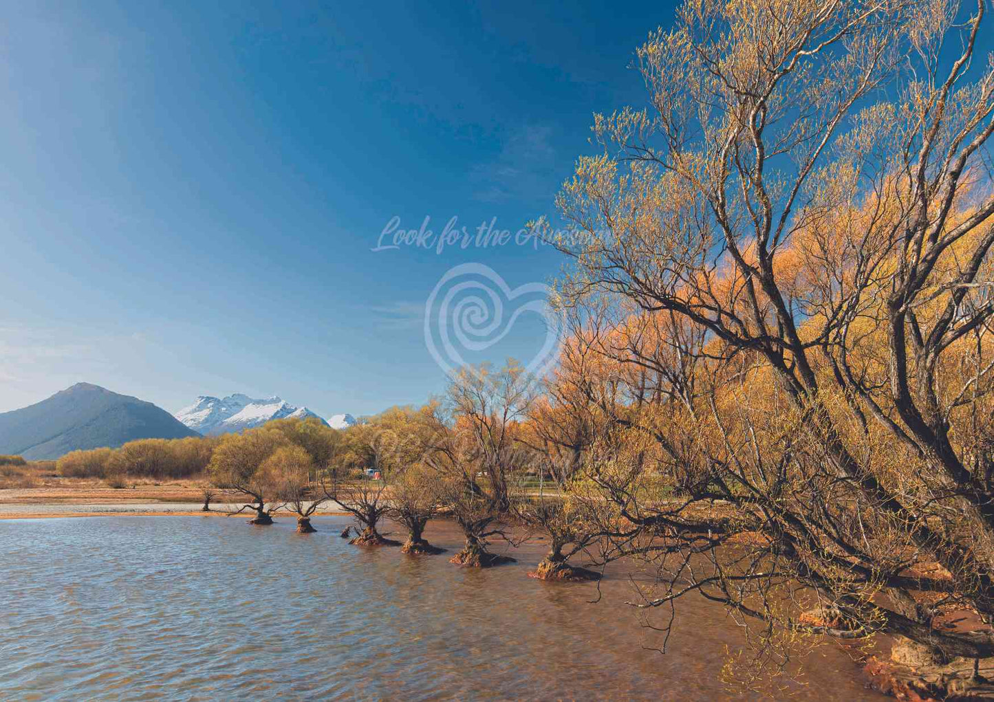 Glenorchy Trees - PCK Photography