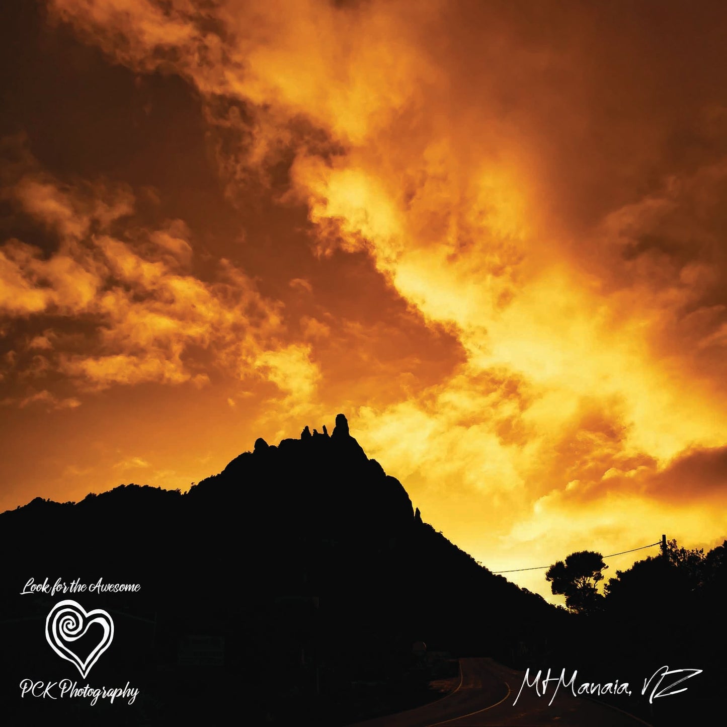 Golden Mt Manaia Tote Bag - PCK Photography