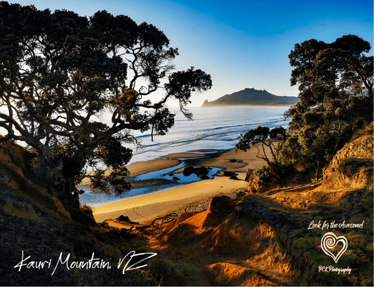 Kauri Mountain - Magnetic Postcard - PCK Photography