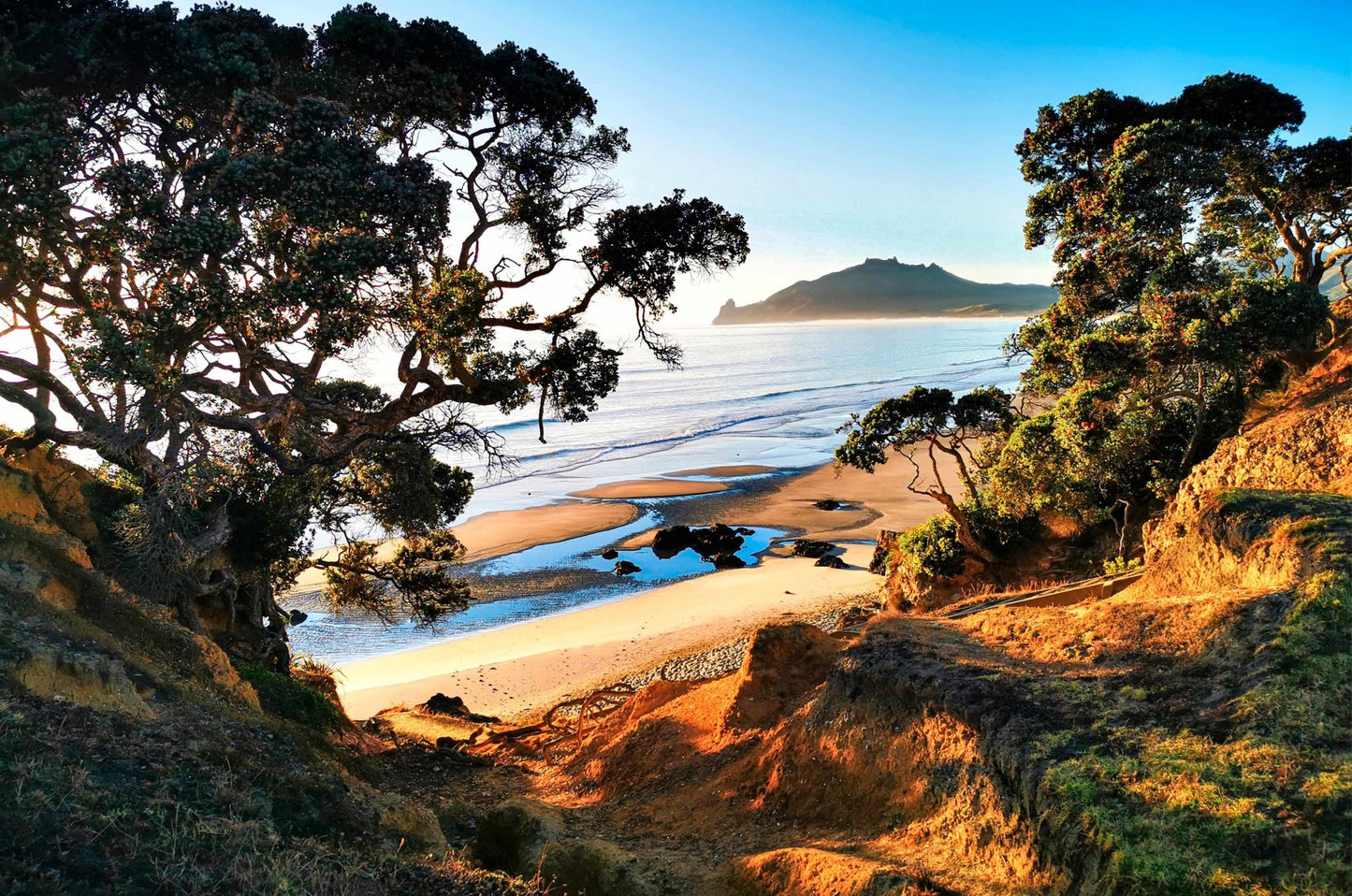 Kauri Mountain Puzzle 40cm x 28cm - PCK Photography