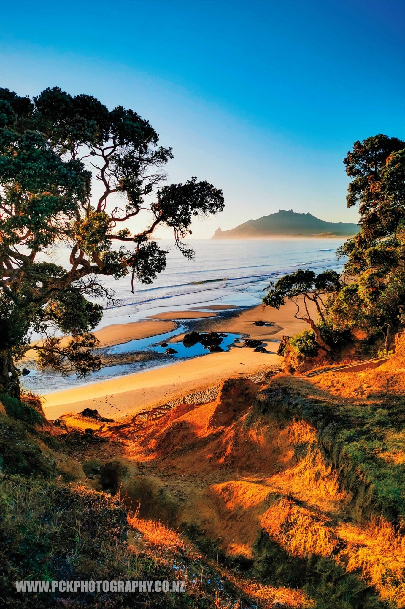 Kauri Mountain Shower Curtain 120cm x 180cm - PCK Photography