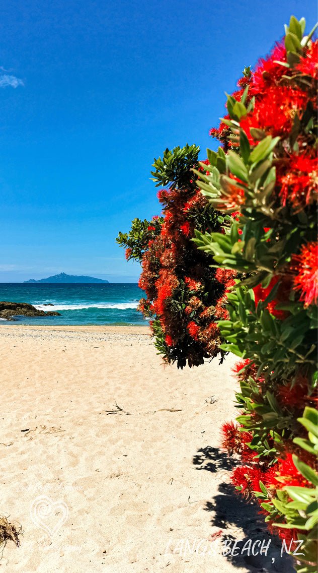 Langs Beach 2 Fabric Art - PCK Photography