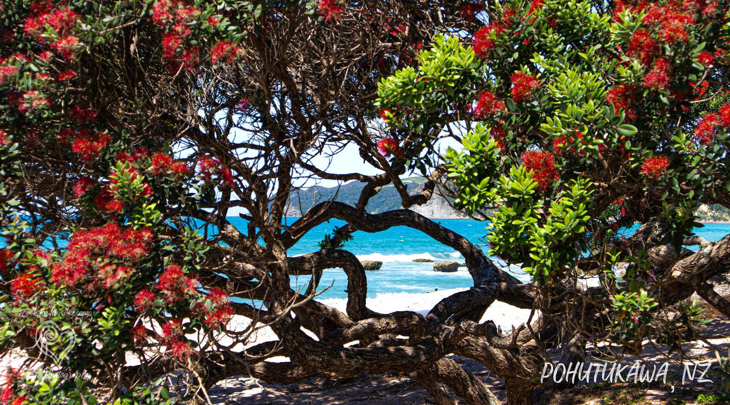Langs Beach 3 Fabric Art - PCK Photography