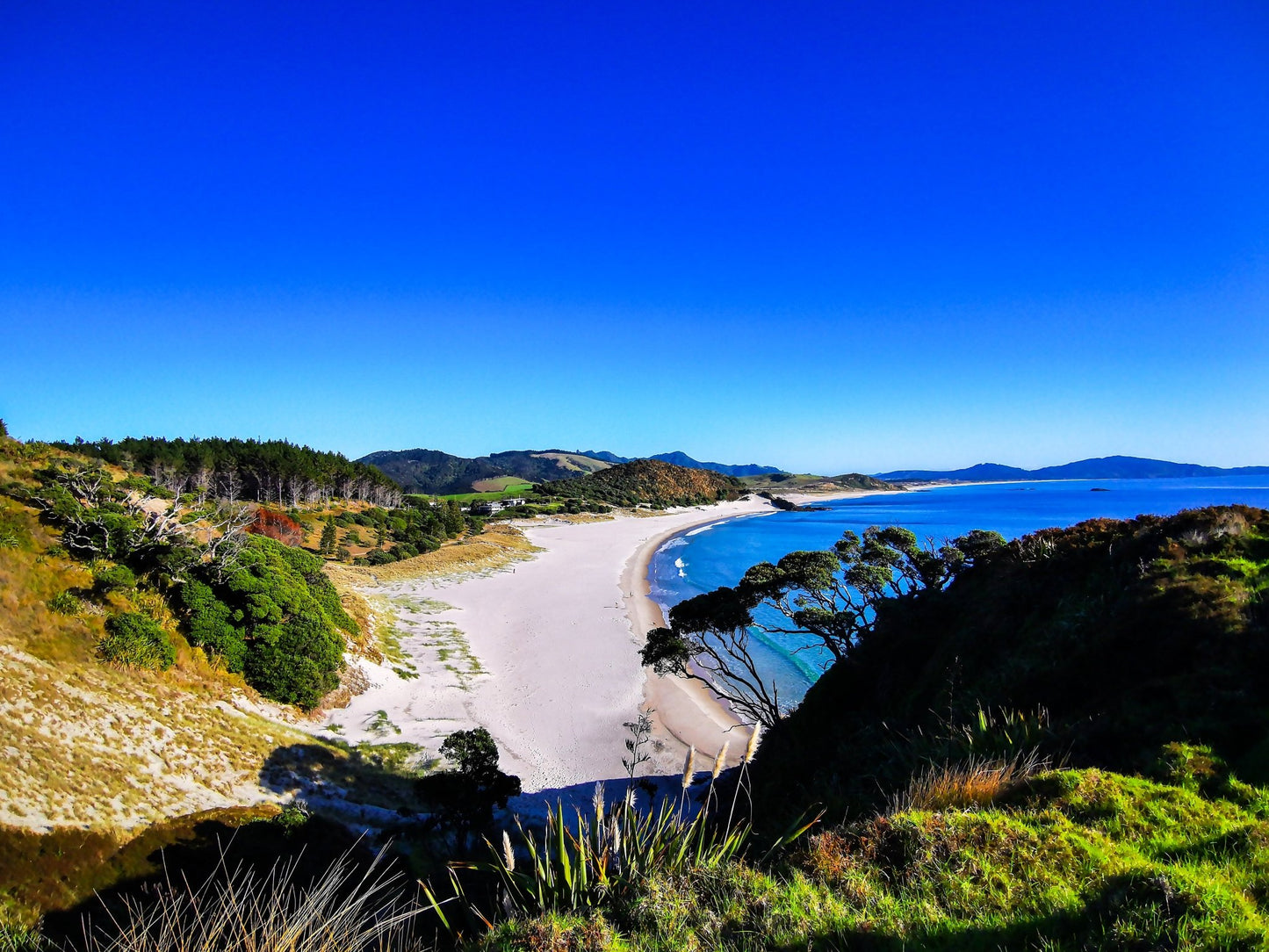 Ocean Beach - PCK Photography