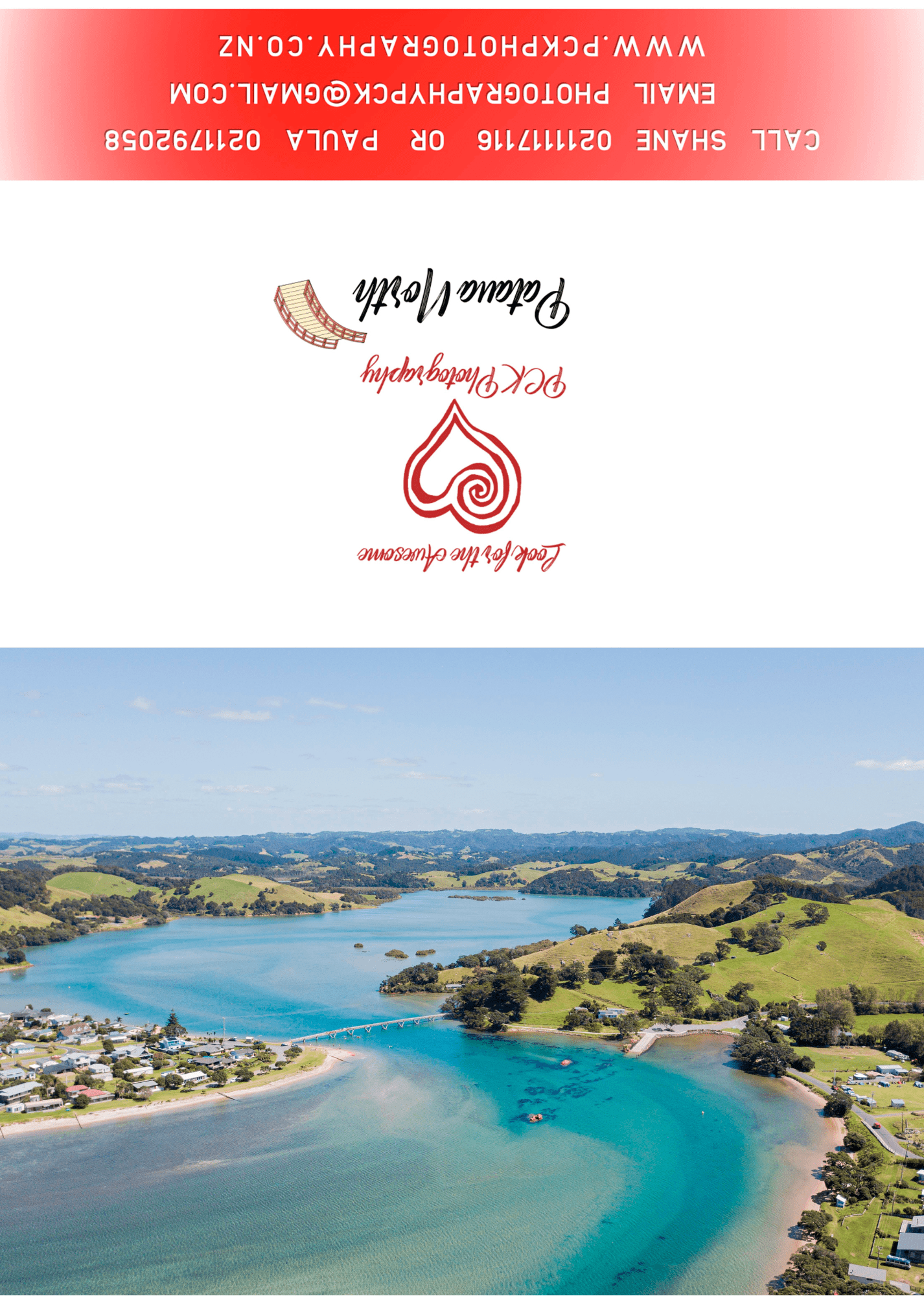 Pataua Greeting Card - PCK Photography