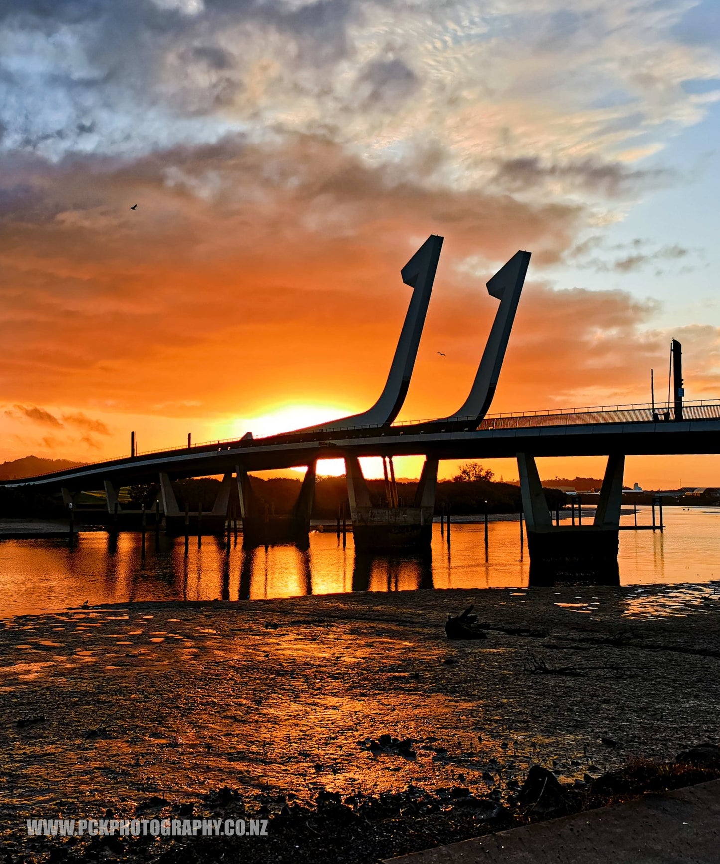 Pohe Island Bridge Shower Curtain 150cm x 180cm - PCK Photography