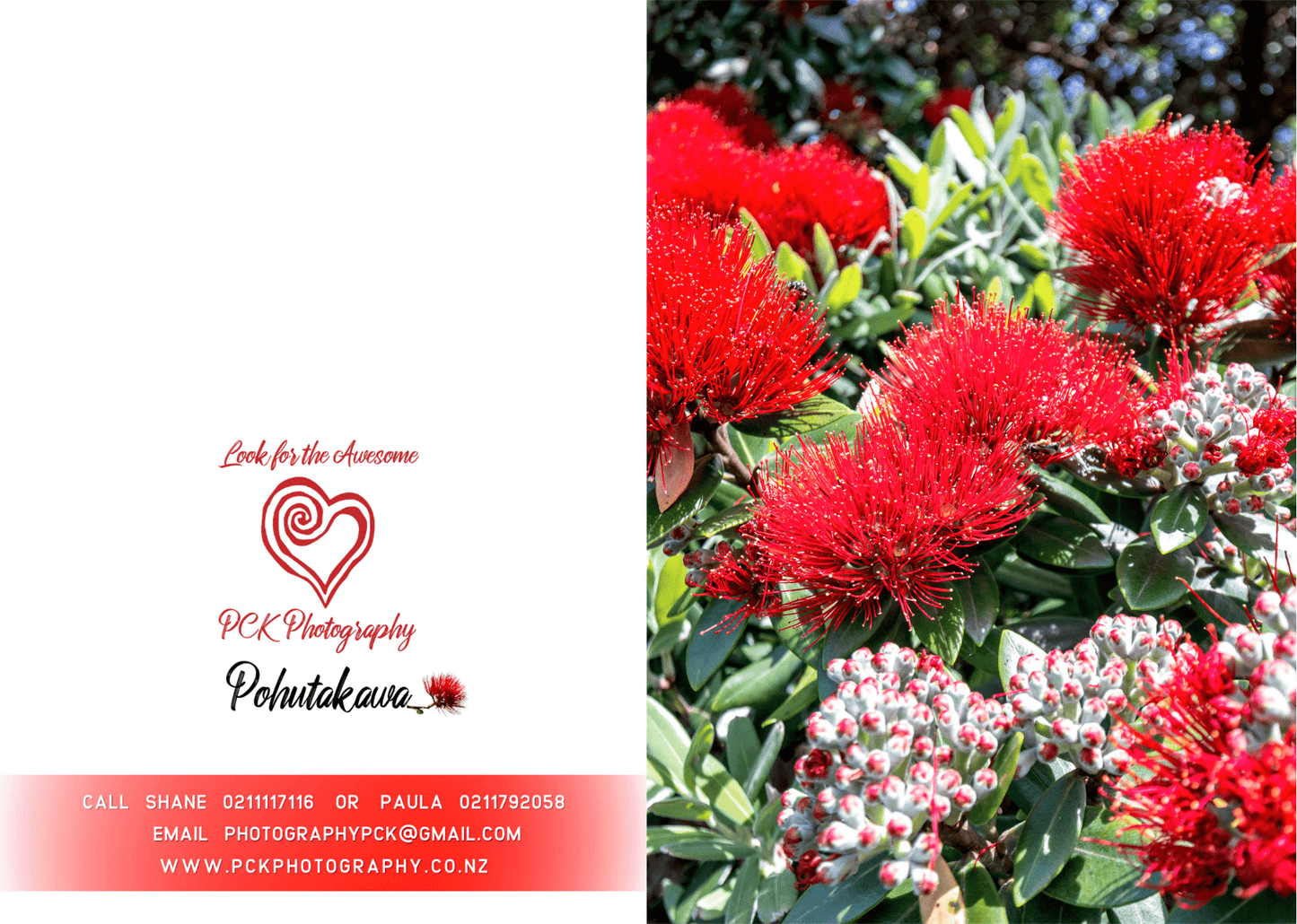 Pohutakawa #1 Greeting Card - PCK Photography
