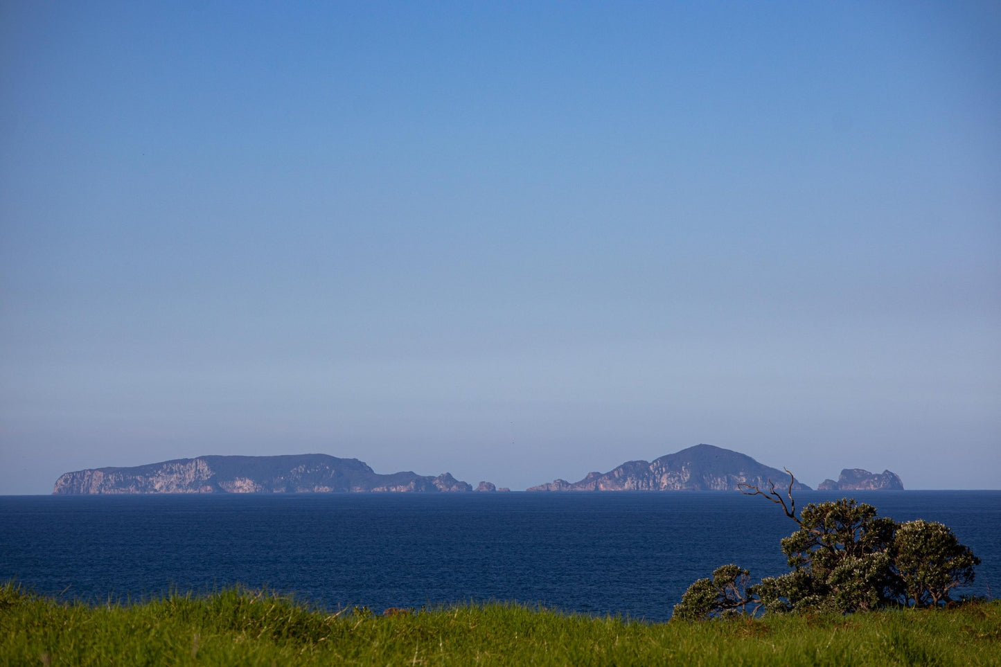 Poor Knights - PCK Photography