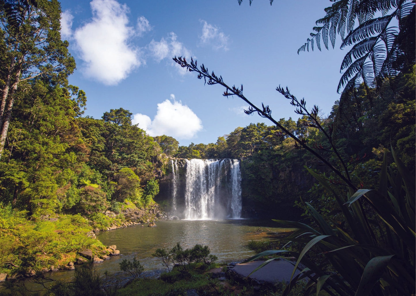 Rainbow falls - Flax - PCK Photography