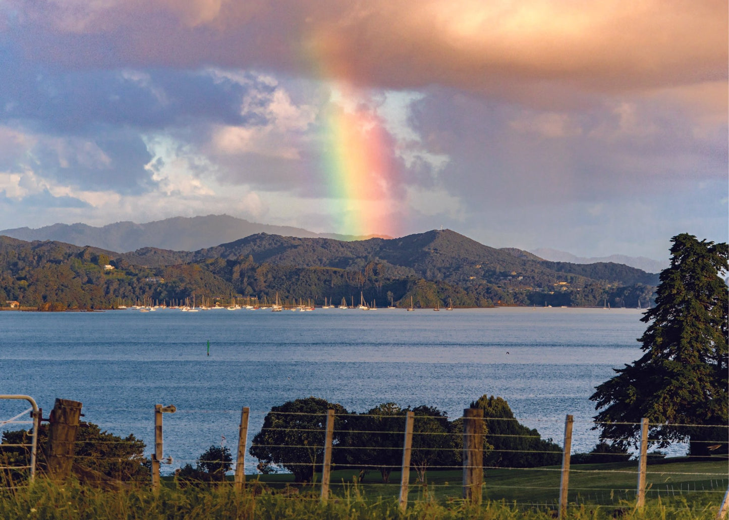Rainbow with fence - PCK Photography