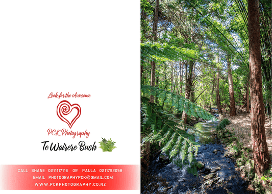 Te Wairere Bush Greeting Card - PCK Photography