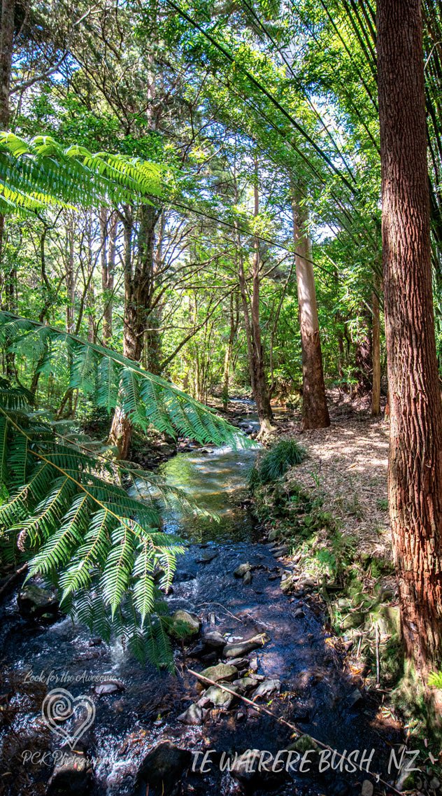 Te Wairere Track Fabric Art - PCK Photography