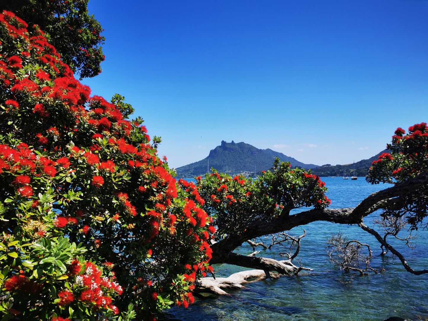 Urquharts Bay Mt Manaia - PCK Photography