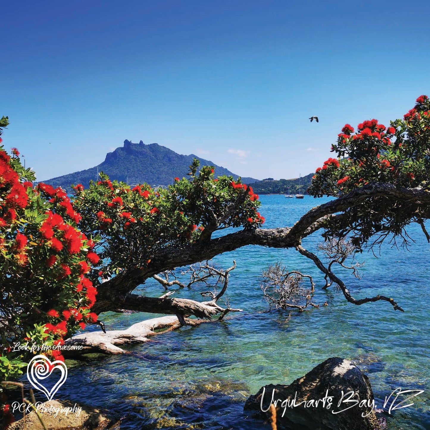 Urquharts Bay Tote Bag - PCK Photography
