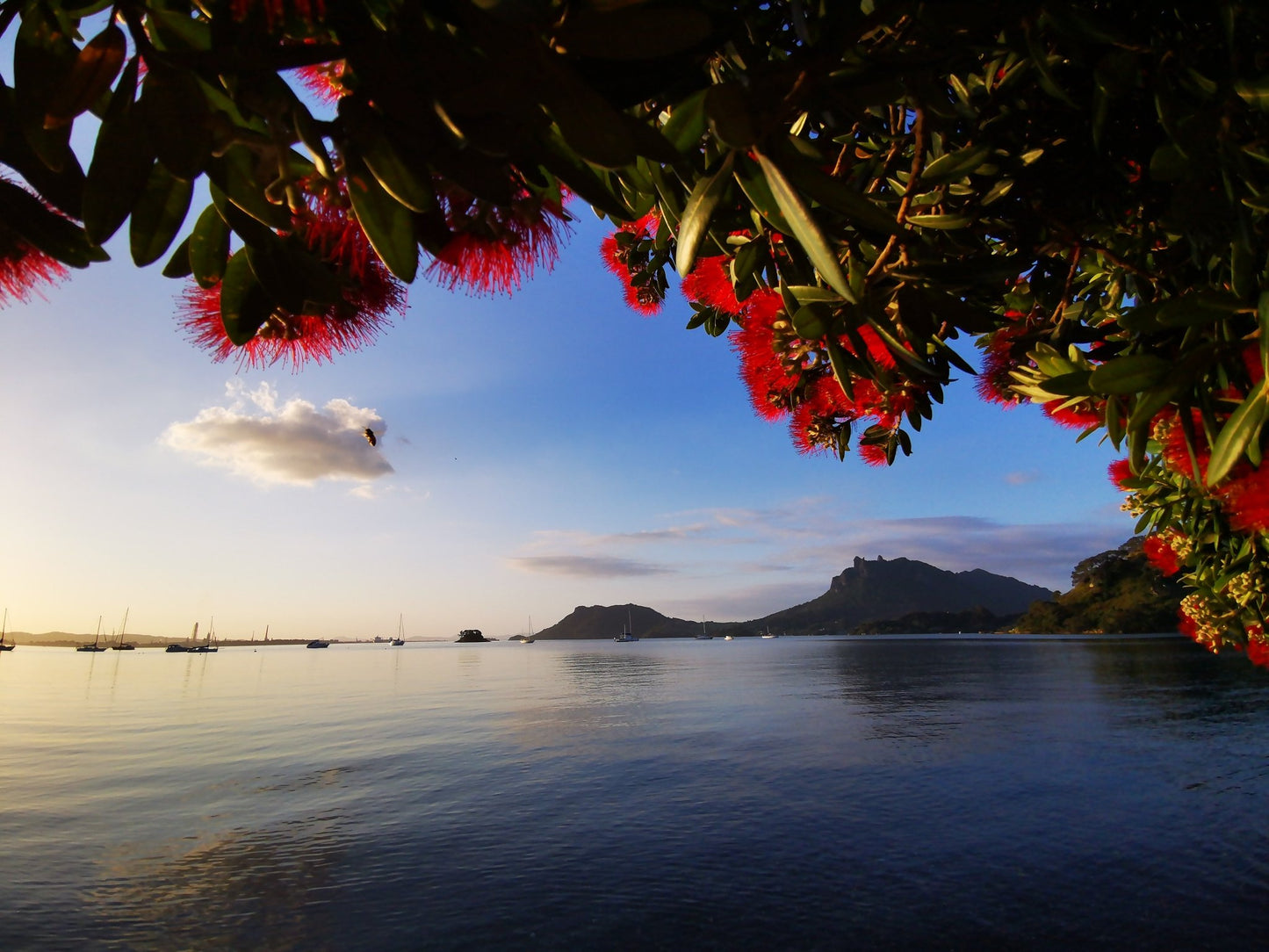 Urquharts Bay with Bee - PCK Photography