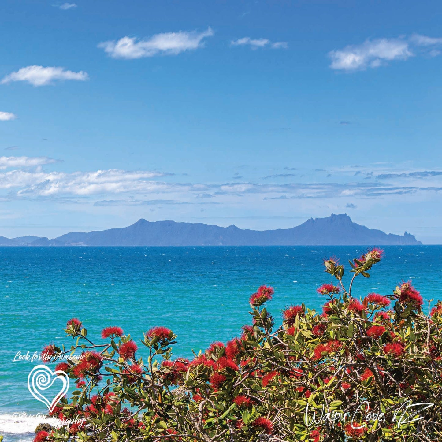 Waipu Cove Tote Bag - PCK Photography