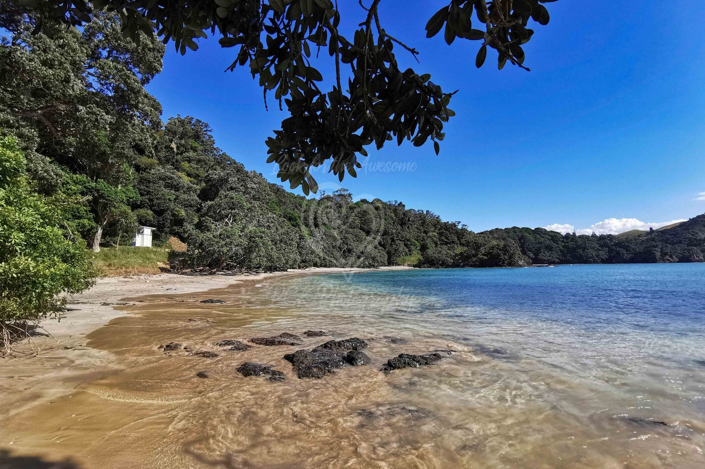 Whale Bay - PCK Photography