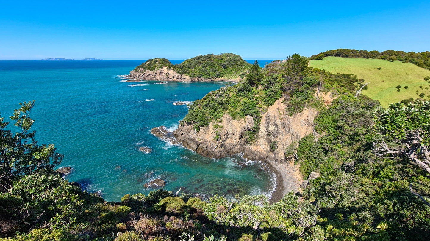 Whale Bay - Track - PCK Photography