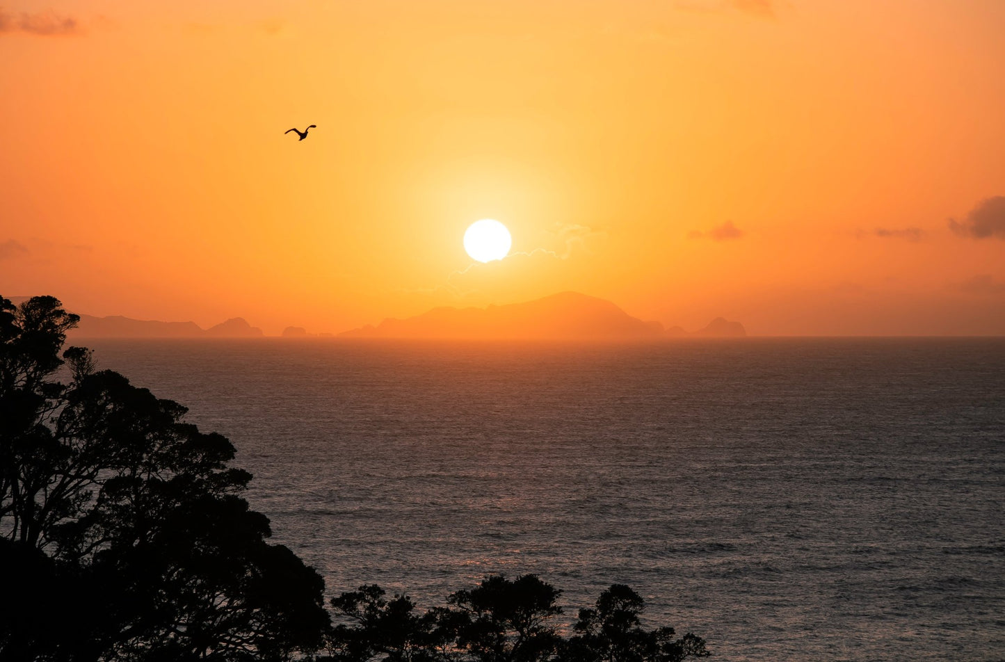 Whananaki - PCK Photography