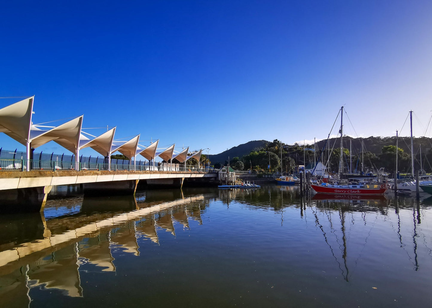 Whangarei Canopy Bridge - PCK Photography