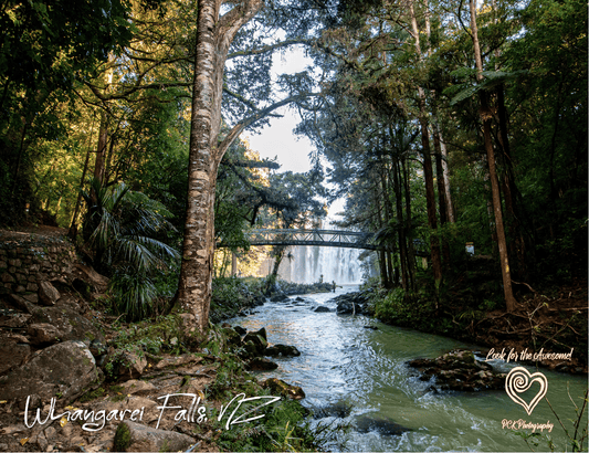 Whangarei Falls - Magnetic Postcard - PCK Photography