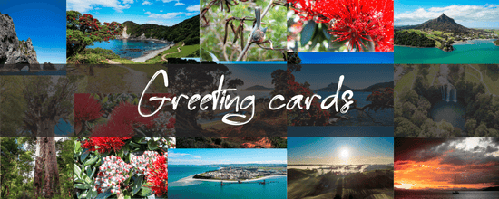 Greeting Cards