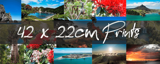 42 x 22cm Prints