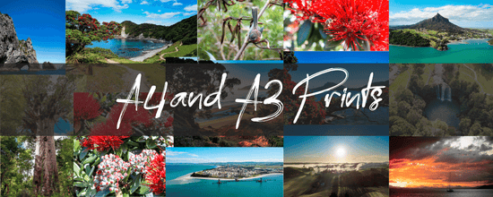 A4 & A3 prints banner