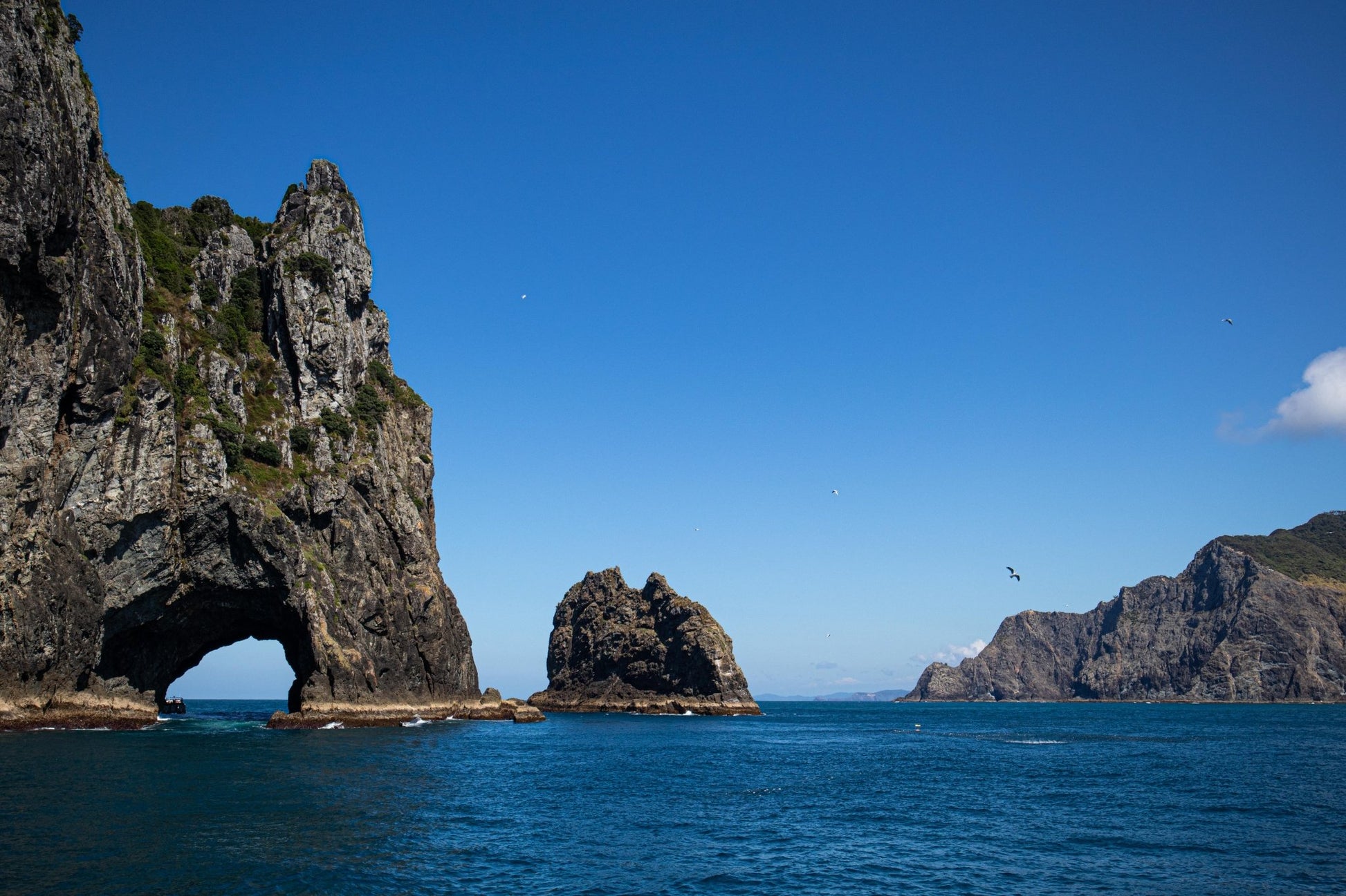 Hole in the rock with Seagull - PCK Photography