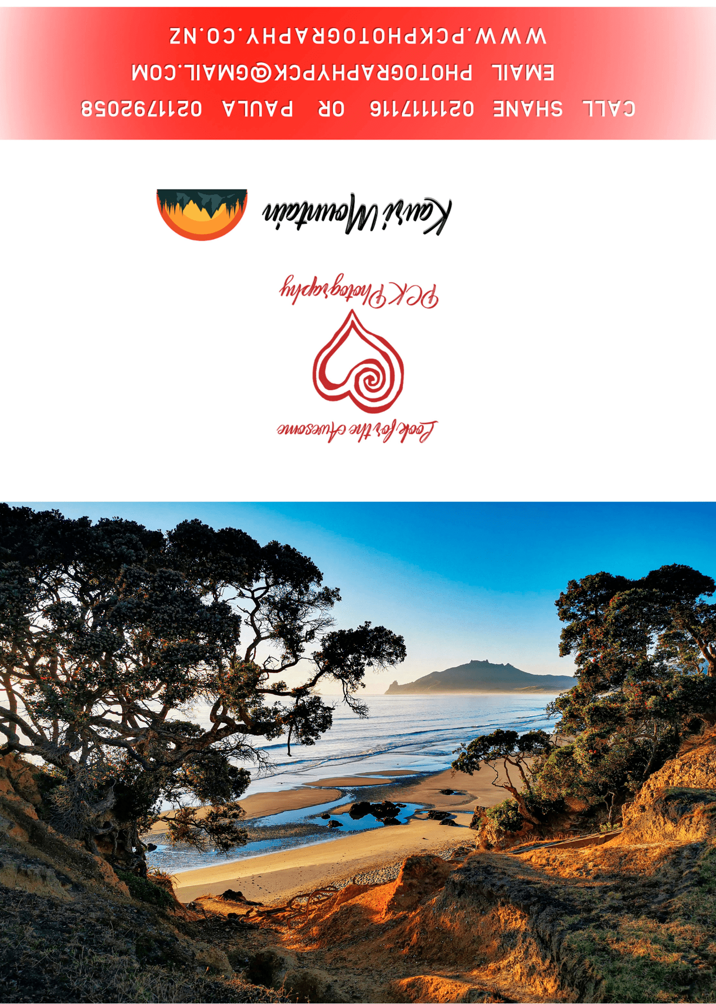 Kauri Mountain Greeting Card - PCK Photography