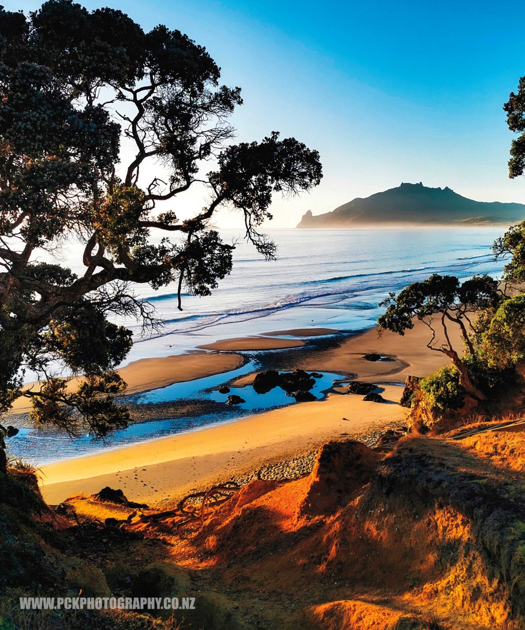 Kauri Mountain Shower Curtain 150cm x 180cm - PCK Photography