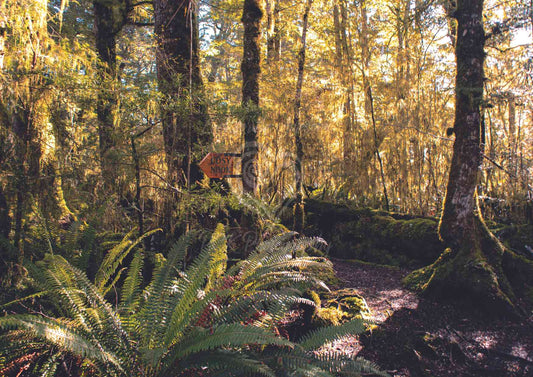 Kepler Track - Cozy Nook - PCK Photography