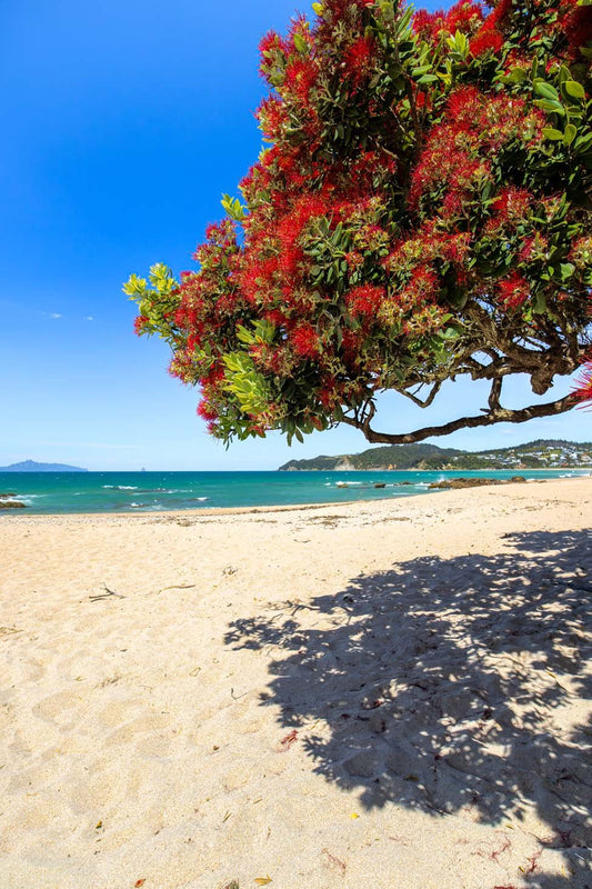 Langs Beach 1 - PCK Photography