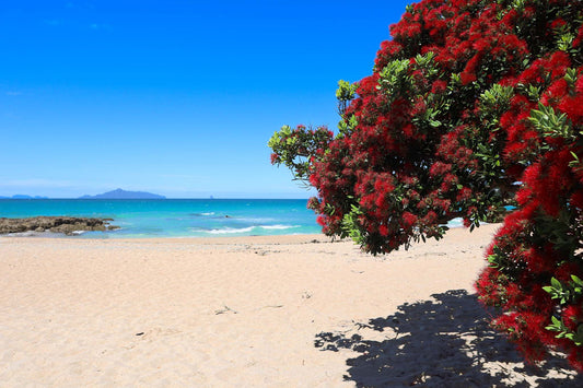 Langs Beach 2 - PCK Photography