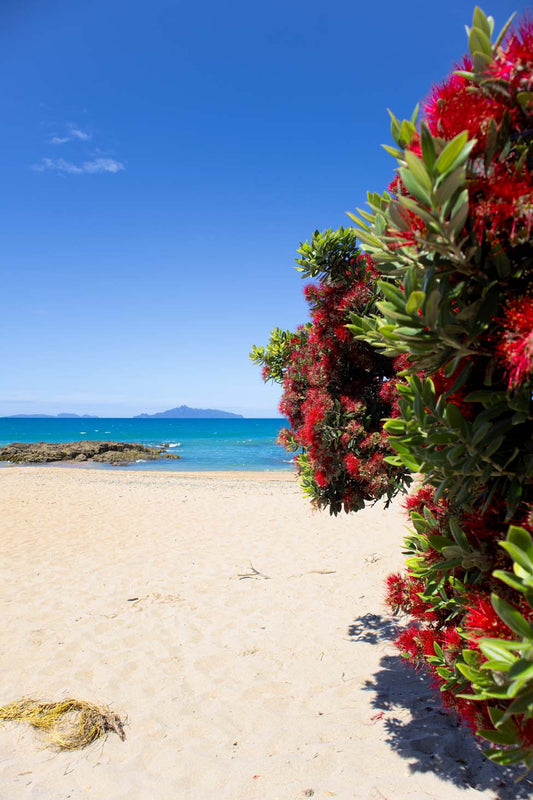 Langs Beach 3 - PCK Photography