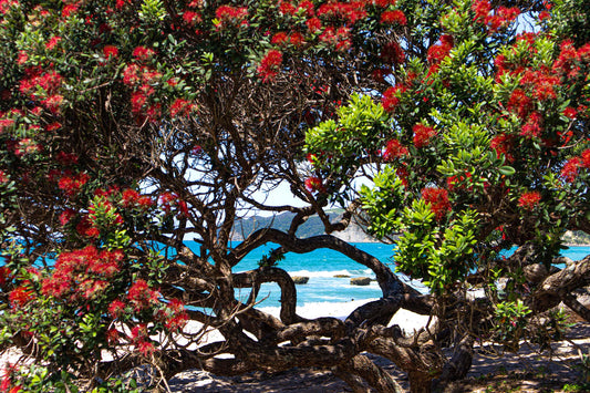 Langs Beach 4 - PCK Photography
