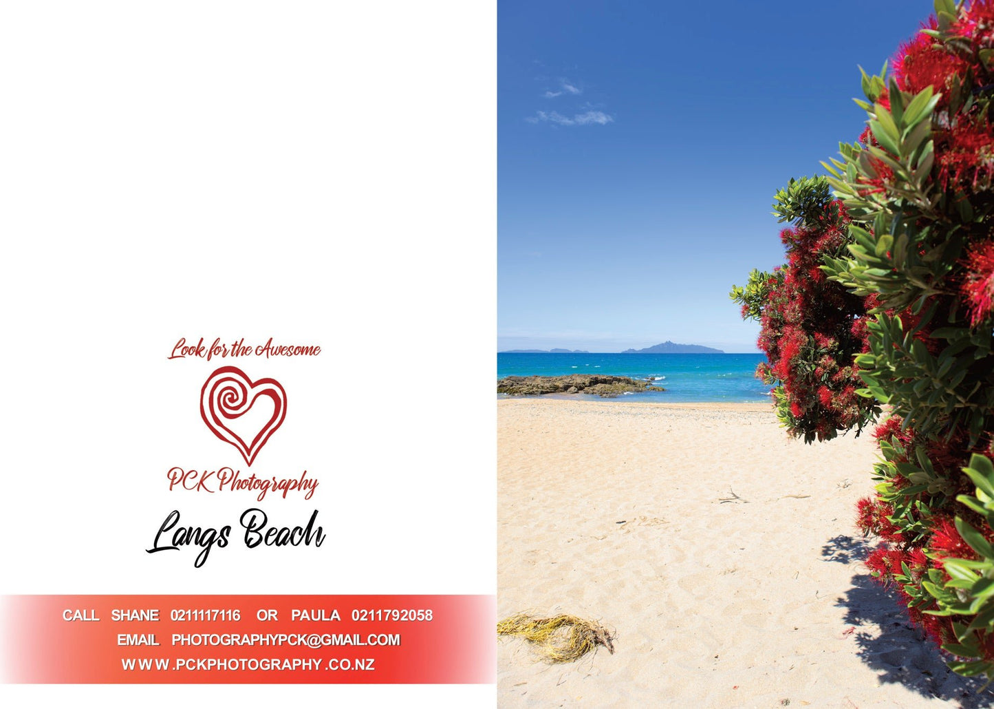 Langs Beach Grass Greeting Card - PCK Photography