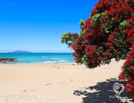 Langs Beach LS- Magnetic Postcard - PCK Photography