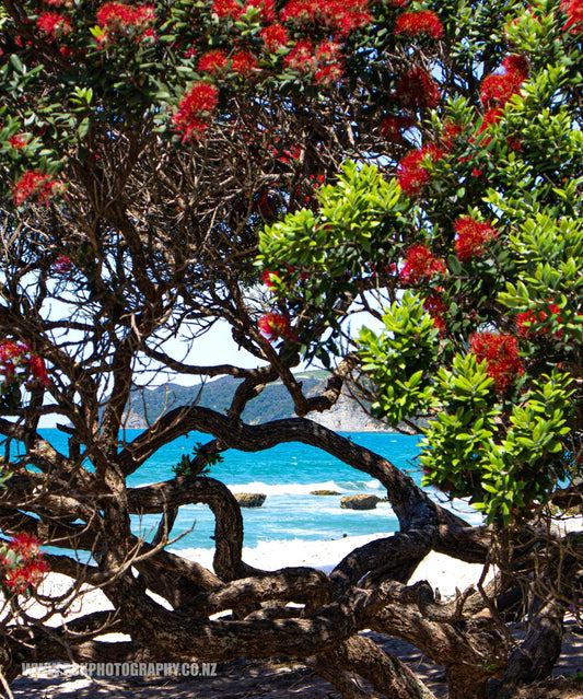 Lang's Beach Shower Curtain 150cm x 180cm - PCK Photography