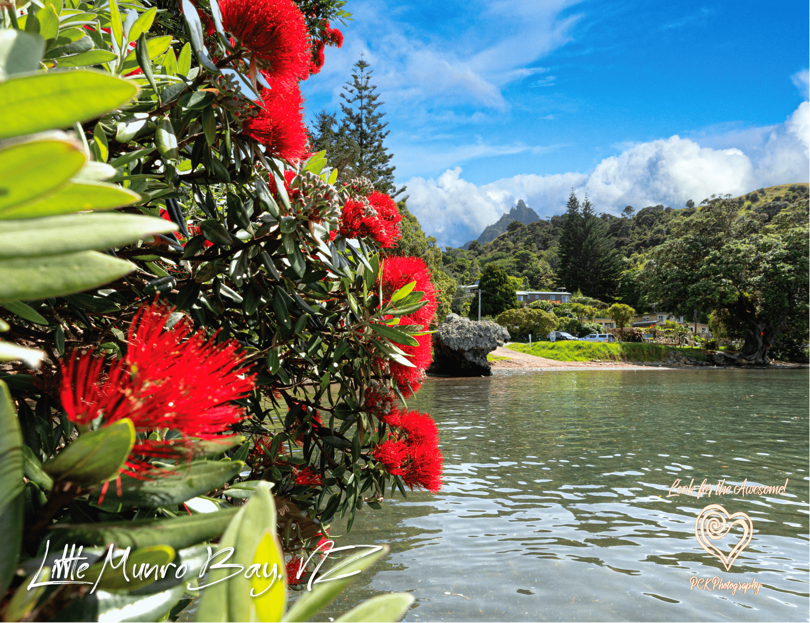Little Munro Bay - Magnetic Postcard - PCK Photography