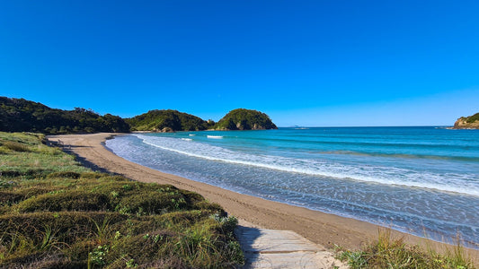 Matapouri wooden path - PCK Photography