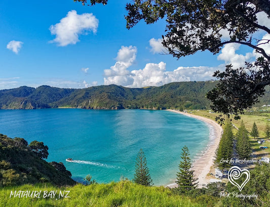 Matauri Bay- Magnetic Postcard - PCK Photography