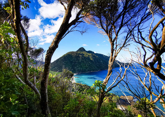 Mt Lion - PCK Photography