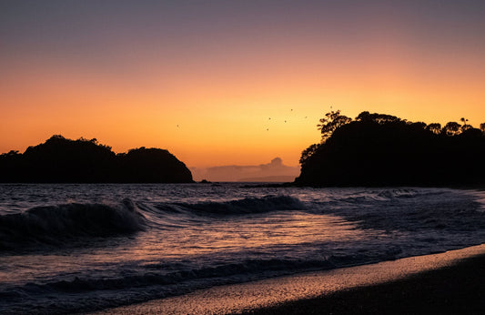 Otamure Bay - PCK Photography