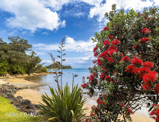 Paihia #1 - Magnetic Postcard - PCK Photography