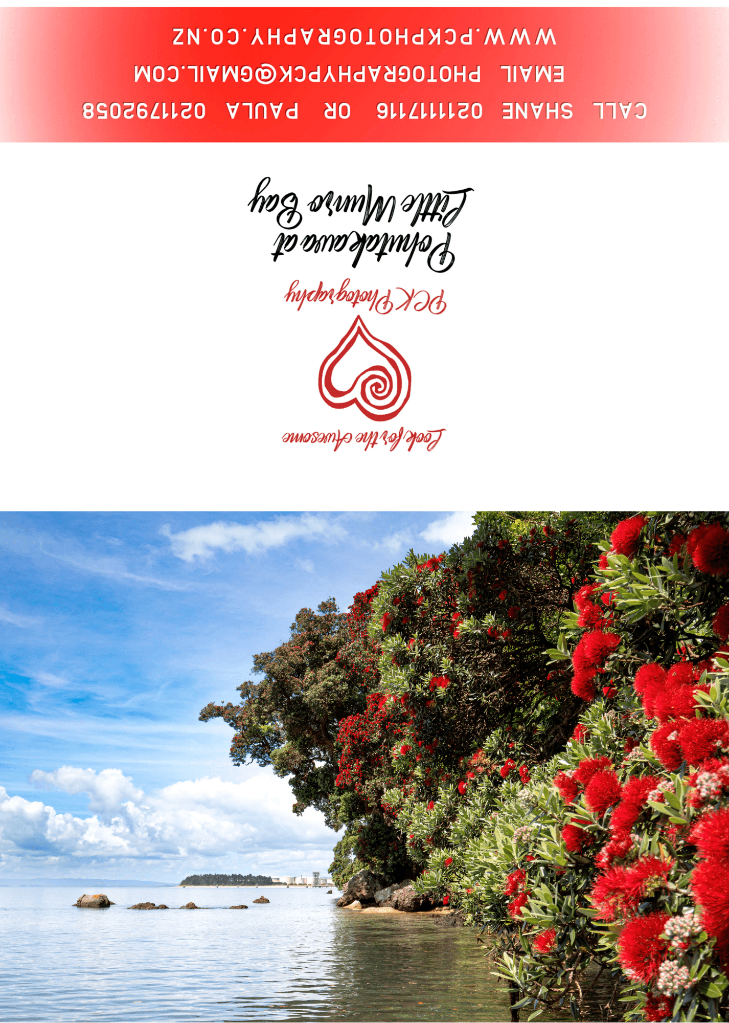 Pohutakawa at Little Munro Bay Greeting Card - PCK Photography